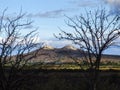 View of twin hill adn semiarid vegetation Royalty Free Stock Photo