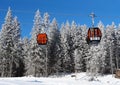 Two cable car cabins and snow-covered spruce trees in the ski re