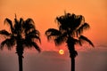 Sunset in Side - two palms silhouette Royalty Free Stock Photo