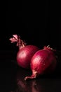 View of two red onions with water drops on table and black background, Royalty Free Stock Photo