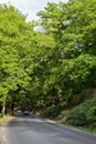 View of two white cars driving on forest road.