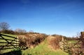 Hedge lined country trackway with gates Royalty Free Stock Photo