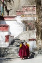 Two yellow-hats Tibetan Buddhist monks in Sera monastery, Lhasa, Tibet Royalty Free Stock Photo