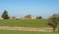 View of typical Cotswolds countryside England