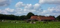 View on typical German farmland. Royalty Free Stock Photo