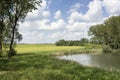 View on a typical landscape in the Netherlands. A perfect dutch sky with beautiful clouds, trees, a pond and green grass Royalty Free Stock Photo