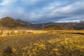 View of a typical landscape in the south of Iceland Royalty Free Stock Photo