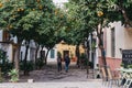 View of a typical street in Seville, Spain, lined with orange trees, people walk by