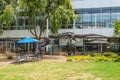 T-Rex skeleton at Googleplex.