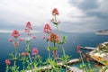 View of the Tyrrhenian sea coast in Sorrento, Italy Royalty Free Stock Photo
