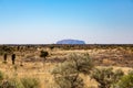 a view at the Uluru monolit from Kata Tjuta Dunes Viewing Area, Yulara, Ayers Rock, Red Center, Australia Royalty Free Stock Photo