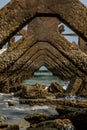 View under at Broken old structure remains of pier in the sea