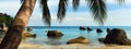 View from under the palm tree leaning over sandy stony beach, lush tropical plant foliage hanging over the sea Royalty Free Stock Photo