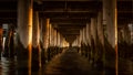 View under the Sopot pier on Baltic Sea in Poland at the sunrise. Royalty Free Stock Photo