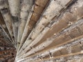 View underneath old eroded brown worn concrete spiral stairs forming a geometric abstract