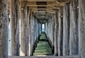 View Underneath a Pier