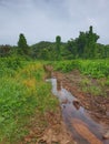 View of undevelop land with small stream