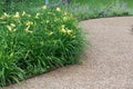 A view of the undulating gravel path and a flower bed with a daylily. Royalty Free Stock Photo