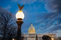 United States Capitol Building with street light with American eagle in the foreground Royalty Free Stock Photo