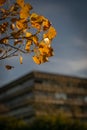 View of the University of Buenos Aires out of focus from the Park of Memory in Argentina