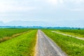 view of an unpaved path leading between two fields near Bodensee in Austria....IMAGE Royalty Free Stock Photo