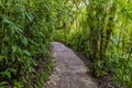 A view up the path leading to hanging bridges in the cloud rain forest in Monteverde, Costa Rica