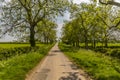 A view up a quiet country road close to the village of Laughton near Market Harborough, UK Royalty Free Stock Photo