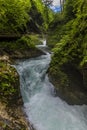 A view up the turbulent Radovna River as it surges over falls in the Vintgar Gorge in Slovenia