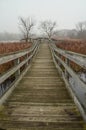 Winter Fog on Pierce Lake Observation Deck Royalty Free Stock Photo