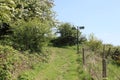 View Uphill on the footpath with generic vegitation Royalty Free Stock Photo