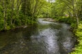 A view of the upper reach of the main salmon stream in Ketchikan, Alaska