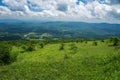 View the Valley from Whitetop Mountain, Grayson County, Virginia, USA