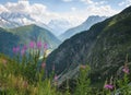 View of the valley and mountain Mont Blanc from Lac d`Ãâ°mosson, Switzerland