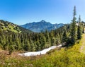 View in the valley of the Olympic National Park from Hurricane Ridge Royalty Free Stock Photo