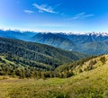 View in the valley of the Olympic National Park from Hurricane Ridge Royalty Free Stock Photo