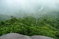 View into the valley and onto the primeval forest in the fog, Yakushima, Japan Royalty Free Stock Photo