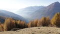 Autumn landscape in Valtellina in Italy.