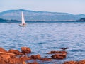 View from Vancouver Island, Canada, with sailboats cruising the Royalty Free Stock Photo