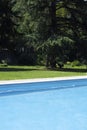 View of various materials by a pool. Blue and dark blue water, a concrete edge, paving slabs, green lawn. A tree in the Royalty Free Stock Photo