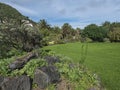 view of various plants and lush green grass at botanical garden, Jardin Botanico Canario Viera y Clavijo, Tafira, Gran