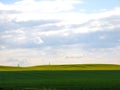 View of the vast arable land sown with plant crops