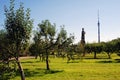 View of VDNH park in Moscow. Monument to Michurin, Ostankinskaya tv tower. Royalty Free Stock Photo