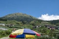 View of vegetable plantation in the mountains of Temanggung, Central Java, Indonesia Royalty Free Stock Photo
