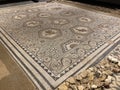 Overview of the Venatio Mosaic, Vallon Museum, Vaud Switzerland