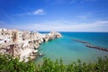 View of Vieste, Italy Royalty Free Stock Photo