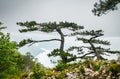 View from viewpoint Banjska stena on Tara mountain in Serbia