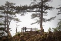 View from viewpoint Banjska stena on Tara mountain in Serbia