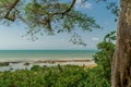 View from a viewpoint, contemplating the sea, a small river and lots of vegetation, all under a beautiful blue sky. Royalty Free Stock Photo