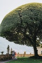 View of Villa del Balbianello`s gardens, Lake Como, Italy.