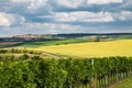 View of the village Boretice